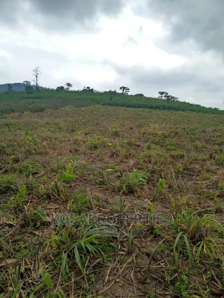 Service Land for Sale at Kasoa Kweikrom -  Land in Greater Accra, Kasoa - Sale
