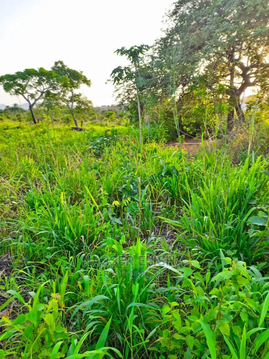 Ho Farmlamds for Sale -  Land in Volta Region, Ho Municipal - Sale