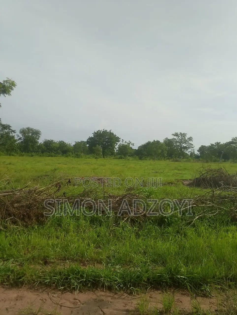 20,000 Acres of Farm Land for Sale - Land in Brong Ahafo, Kintampo North Municipal - Rent