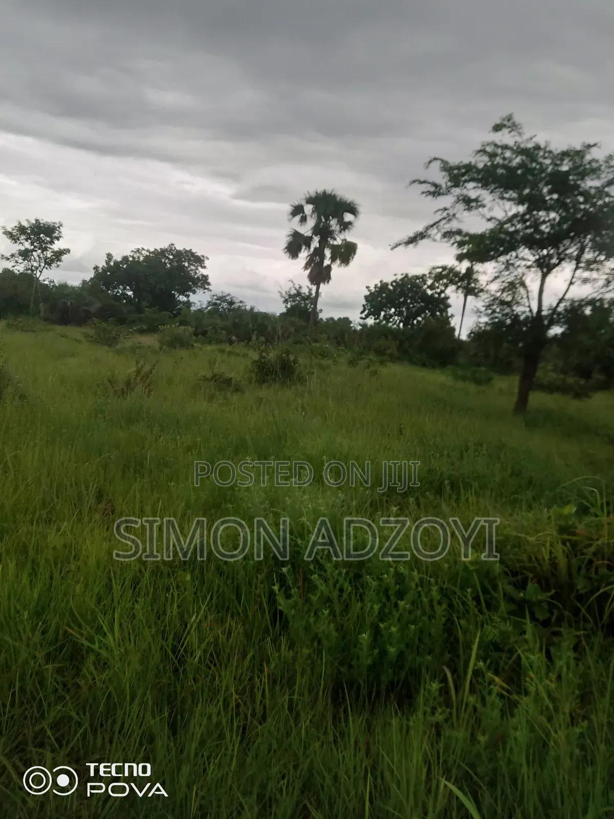 20,000+ Acres Farm Land Available For -  Land in Eastern Region, Akuapim North - Sale