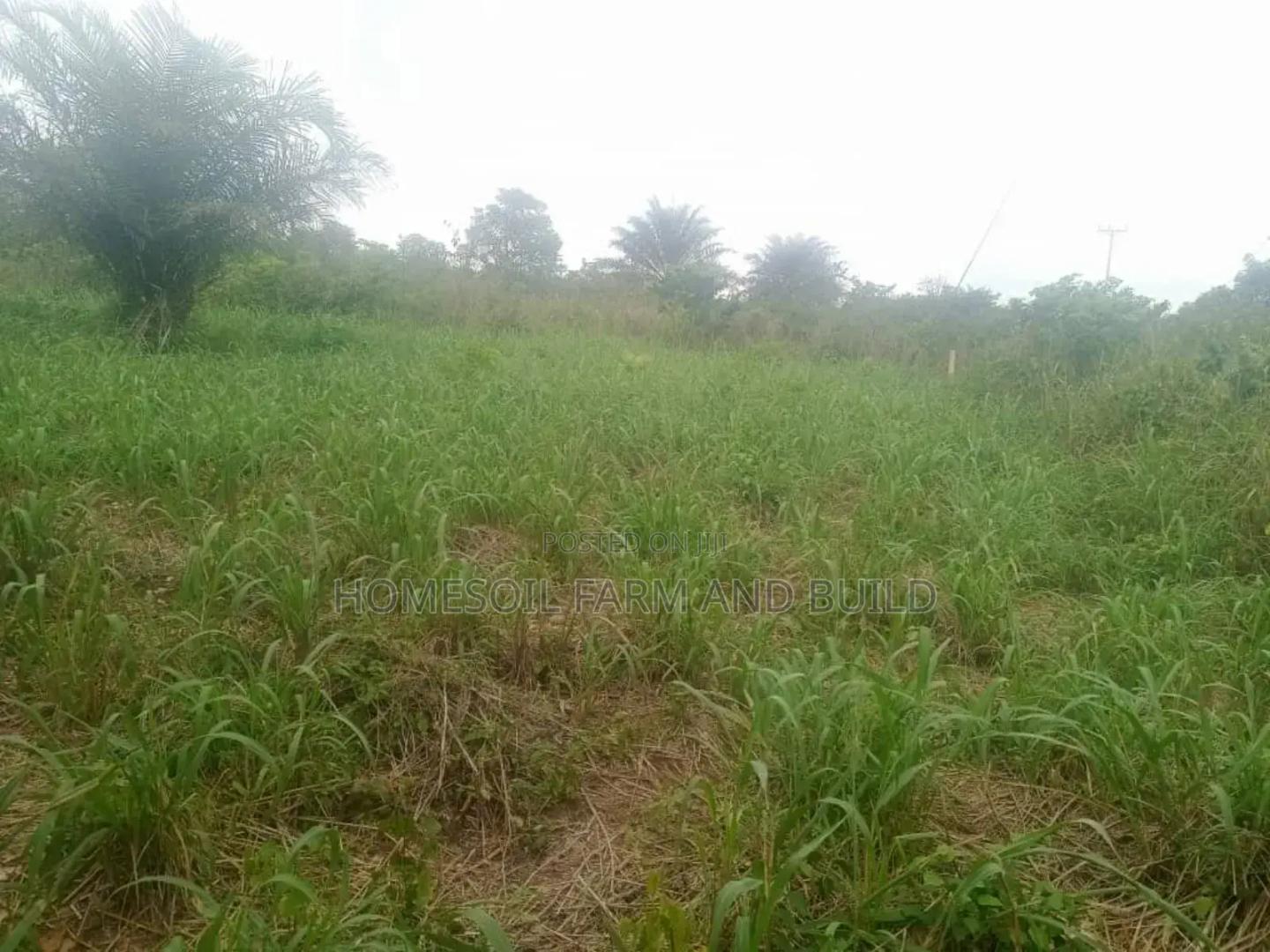 40 Acres of Farmland at Gomoa Odumase for Lease -  Land in Central Region, Gomoa West - Sale