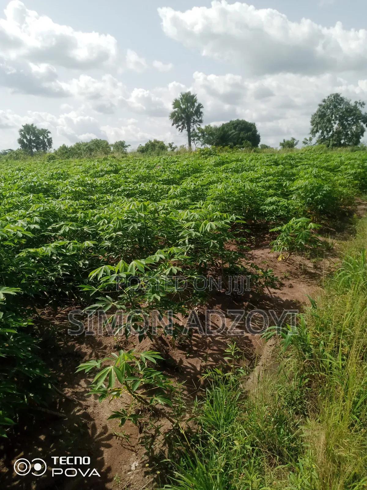 3000 Acres of Farm Land for Sale -  Land in Volta Region, Ho Municipal - Sale