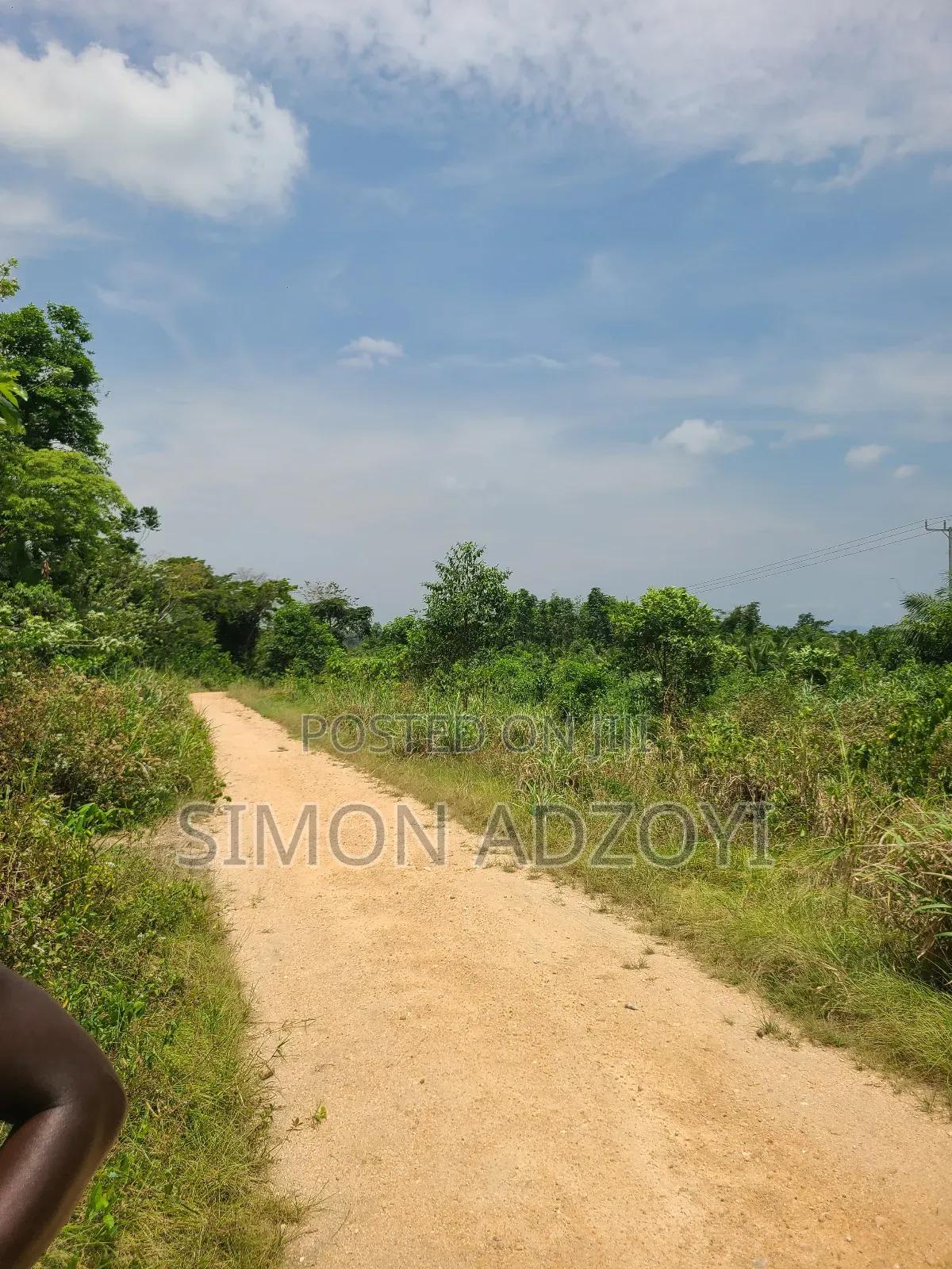 20,000 Acres of Cocoa Farme Land -  Land in Eastern Region, West Akim Municipal - Sale