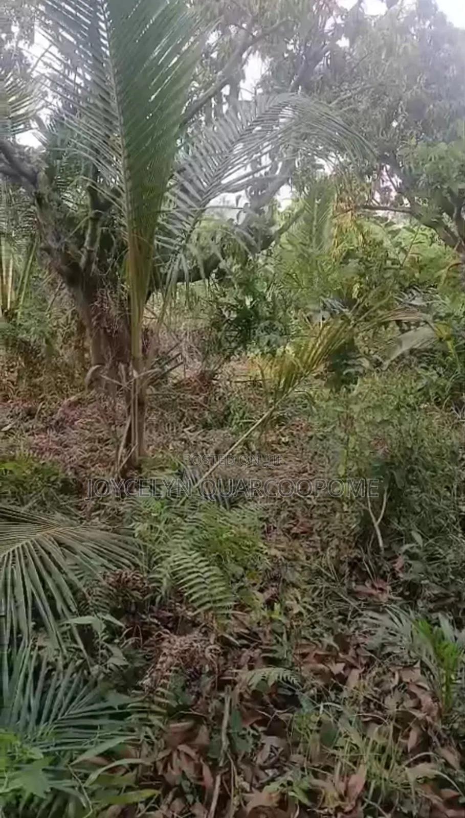 Dodowa Odumasi in the Shai Osudoku District Greater Accra -  Land in Greater Accra, Dodowa, Dodowa Main Station - Sale