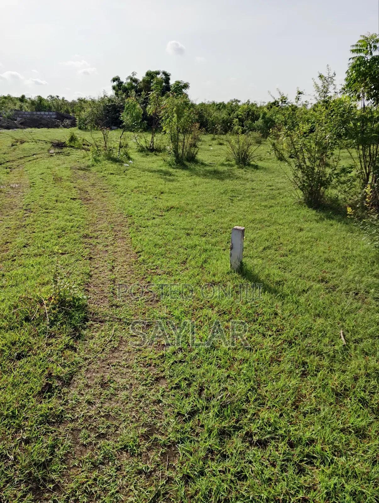 Over 400 Acres of Demarcated Lands Afienya Main Road Side for Sale -  Land in Greater Accra, Tema Metropolitan - Sale