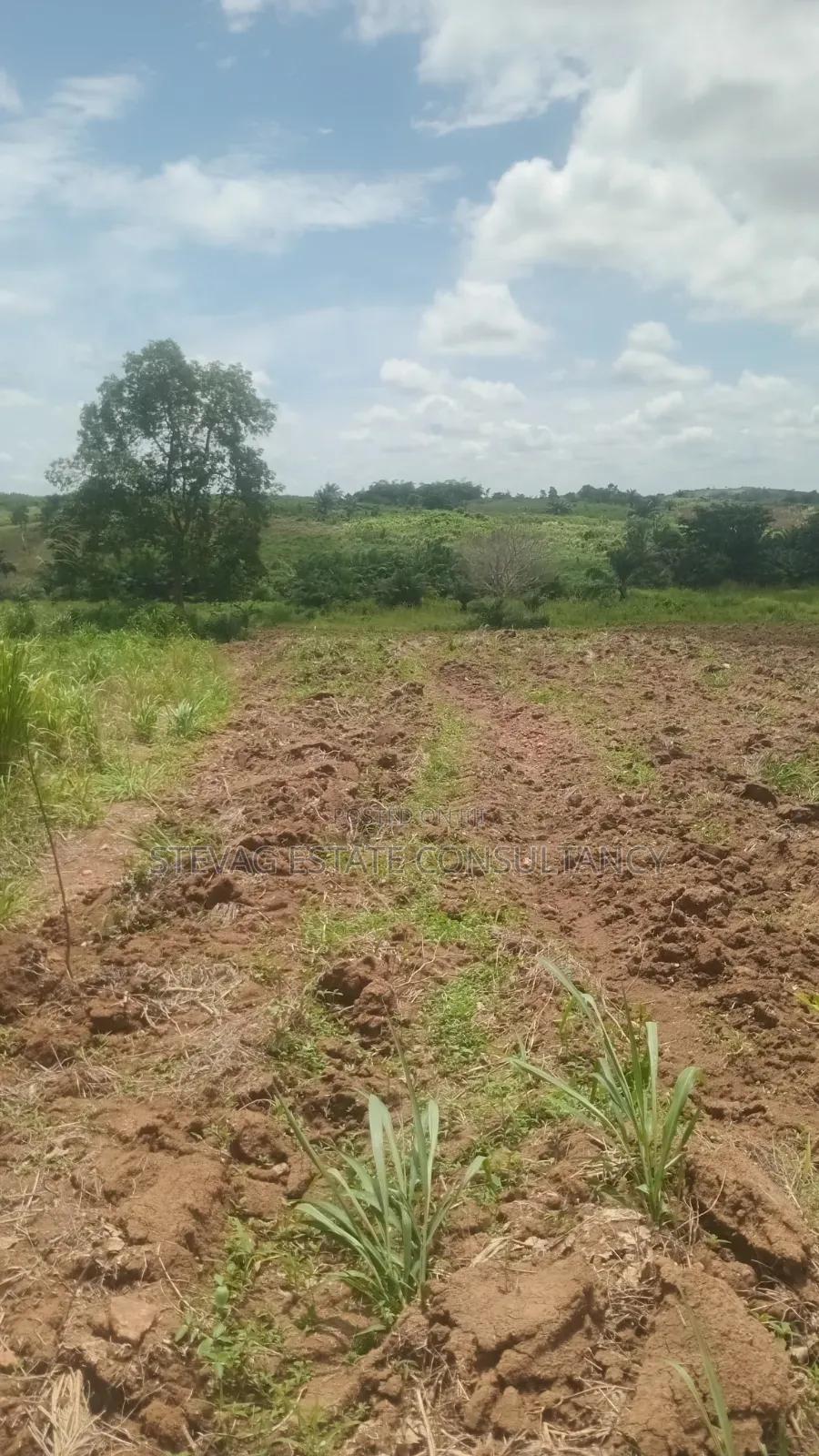 Alpha Land for Sale at Nsawam Ayibontey -  Land in Eastern Region, Akuapim North - Sale