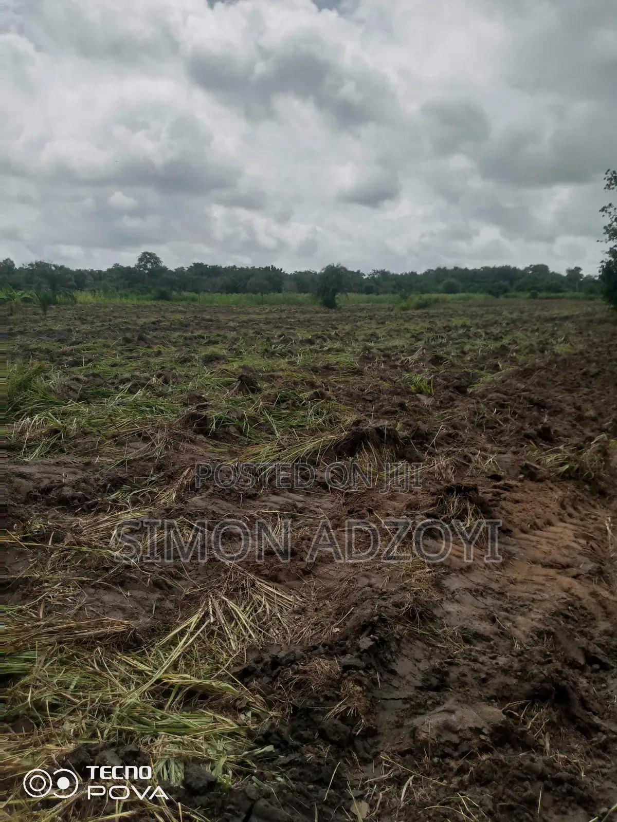 1000 Acres Available for Long Term Lease - Land in Volta Region, Akatsi Notrh - Rent