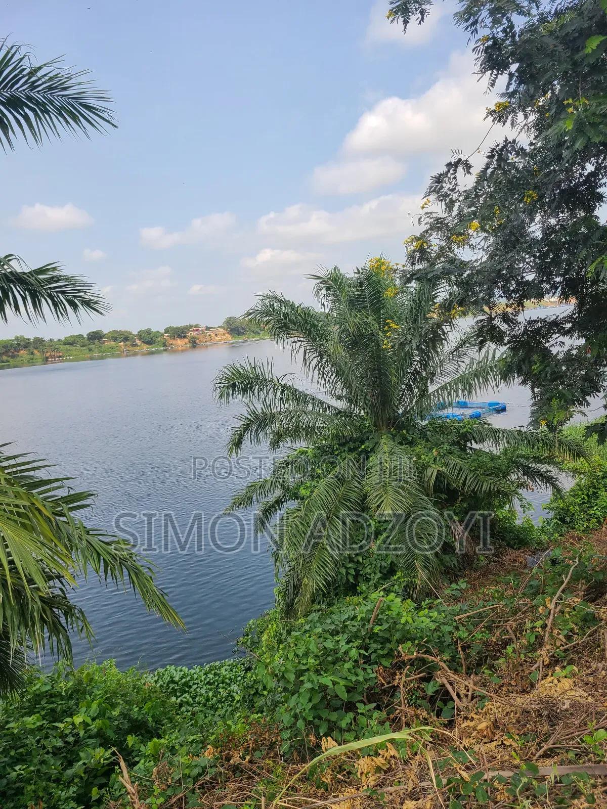 10,000 River Front Farm Land for Rent. - Land in Volta Region, Nkwanta South - Rent