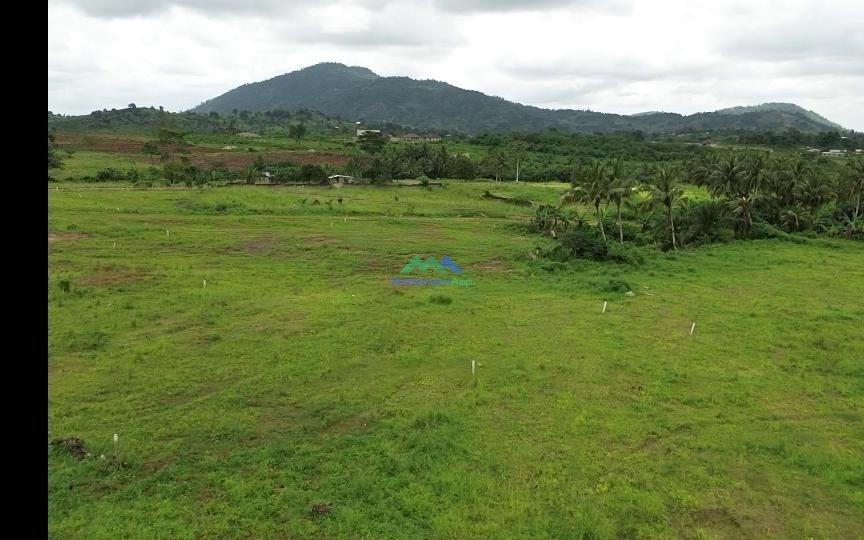 Residential serviced land for sale at Nsawam - 1 bedroom Land in Eastern Region, Nsawam - Sale