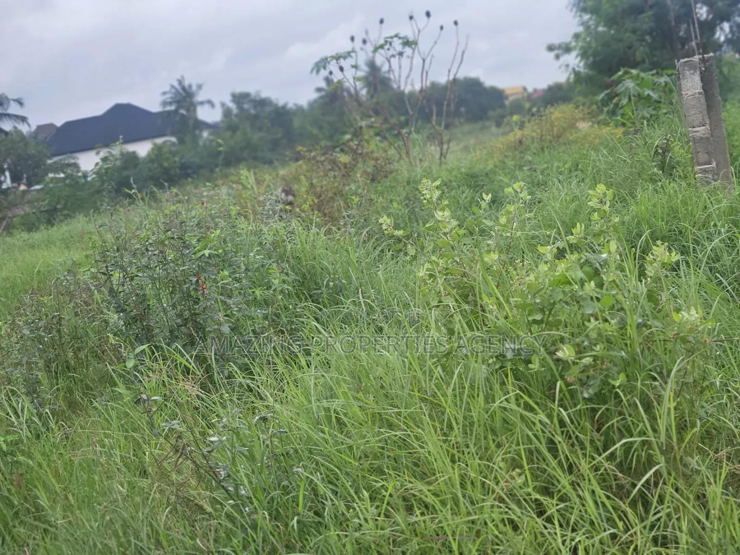 21 Acres Located at Dahwenya Close to B5 - Land in Greater Accra, Tema Metropolitan - Sale