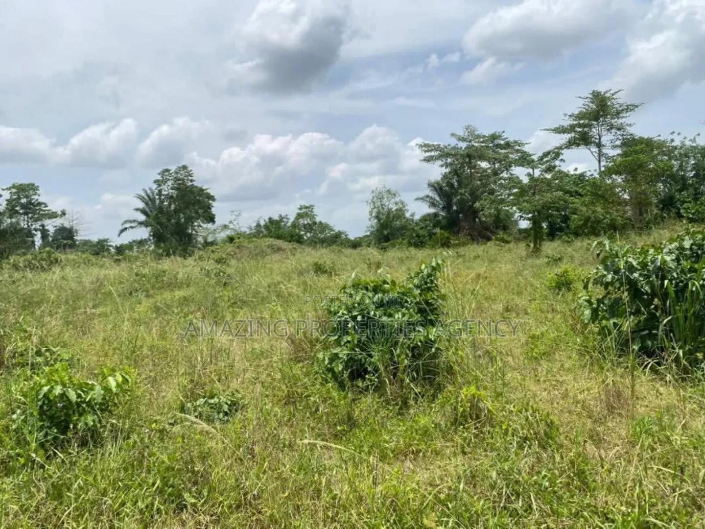 15 Acres Land for Sale* *Location*: Tema Industrial Area, - Land in Greater Accra, Tema Metropolitan - Sale