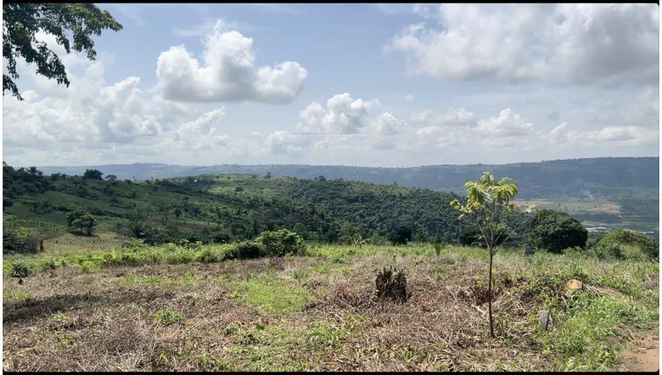 Residential land for sale at Aburi - Kwasi Doi - Land in Aburi - Kwasi Doi - Sale
