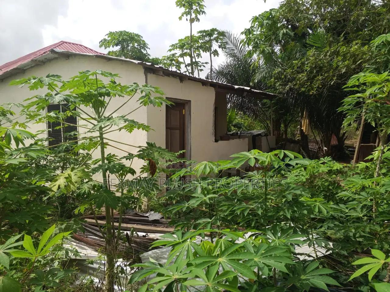 Block Factory for Sale at Akotsi in an Estate - Commercial in Central Region, Gomoa West - Sale