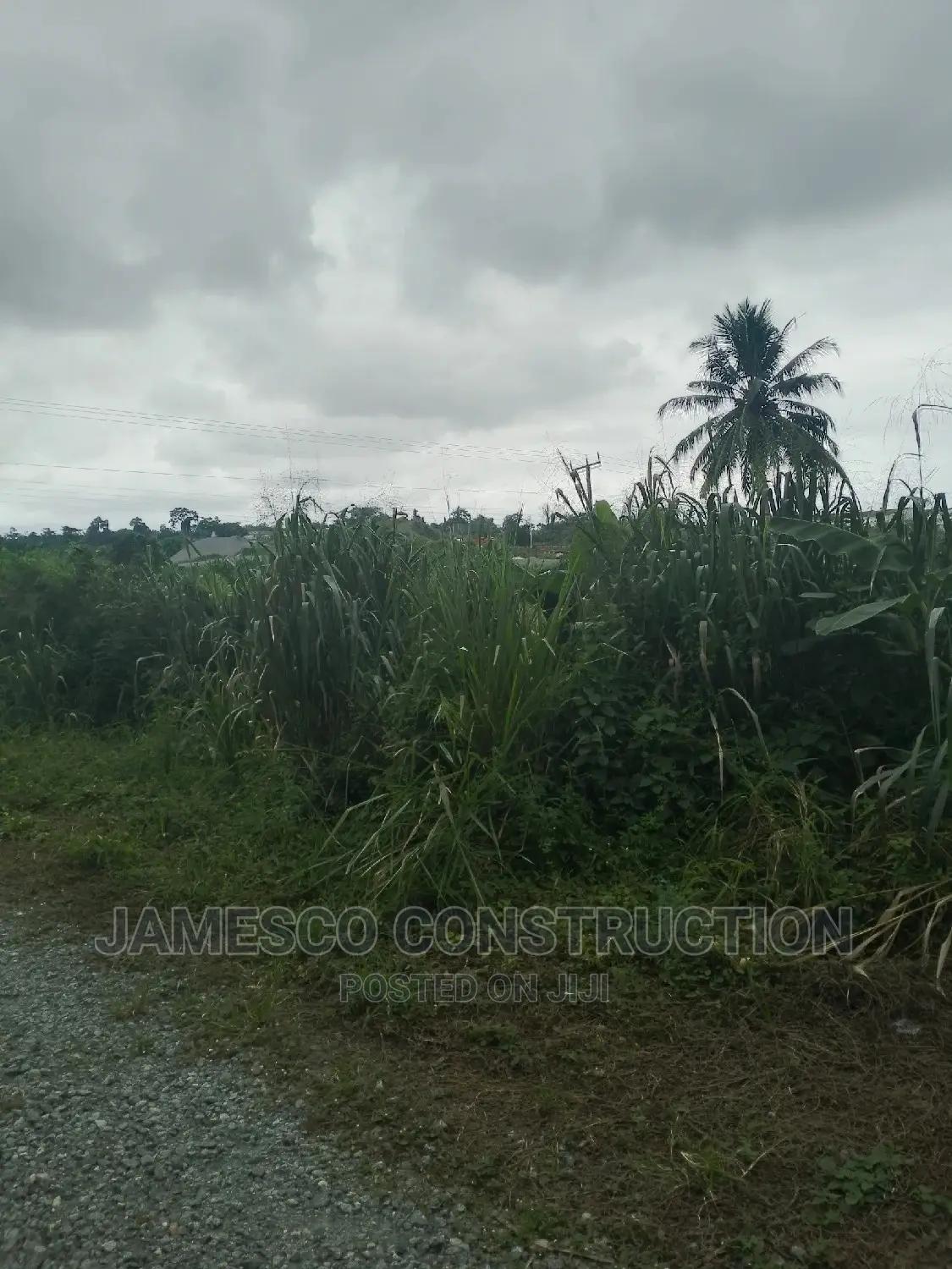 Two Plot of Land for Sale - Land in Eastern Region, Ayensuano - Sale