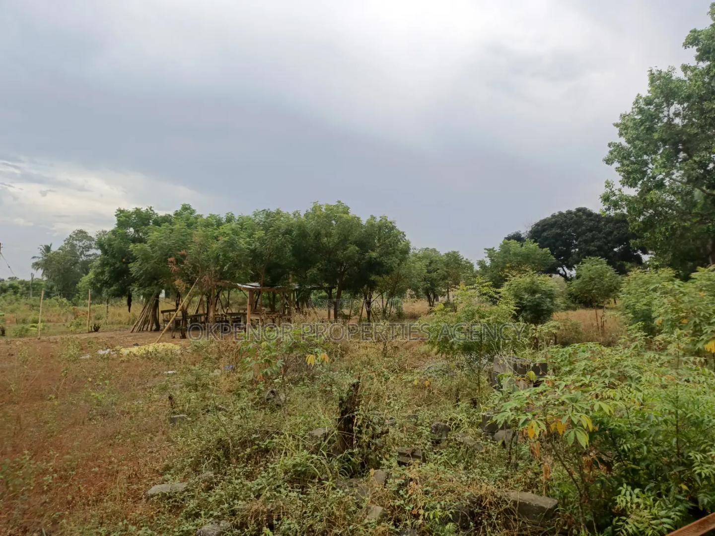2acres of Land Walled for Sale at Tema - Land in Greater Accra, Tema Metropolitan - Sale