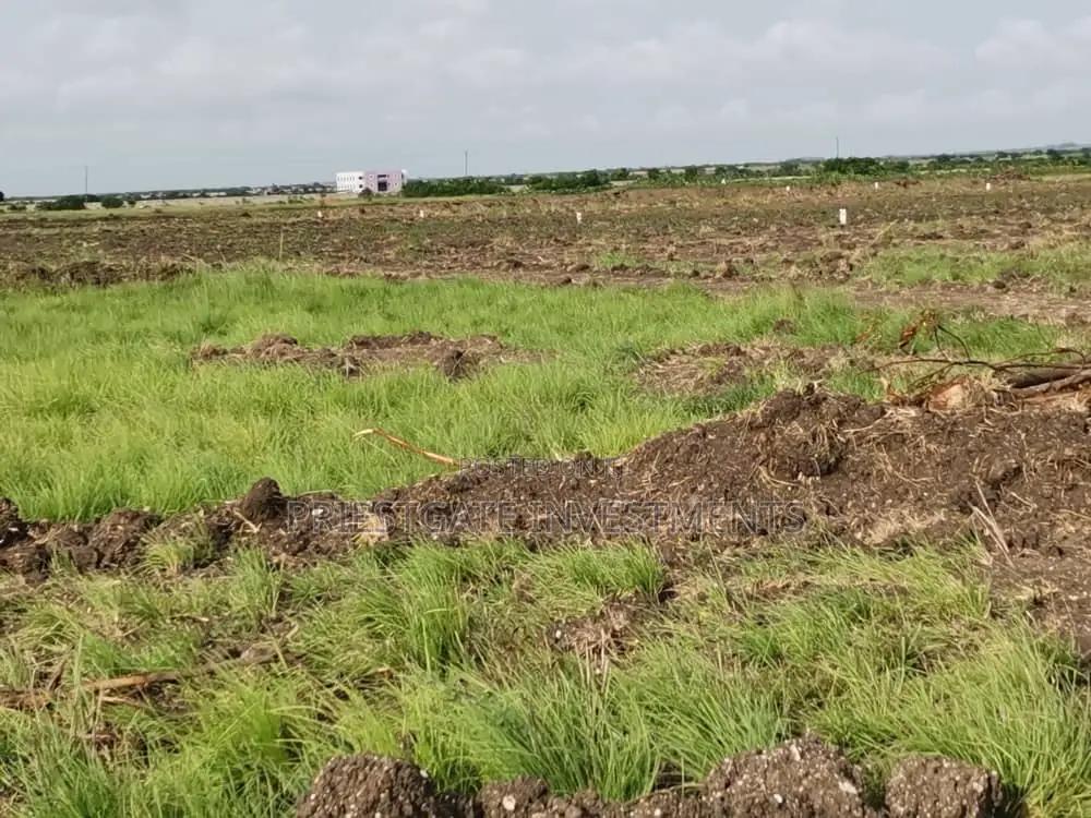 Don't Miss Out! Spacious Land for Sale at Tsopoli - Land in Greater Accra, Ningo-Prampram, Dawhenya - Sale