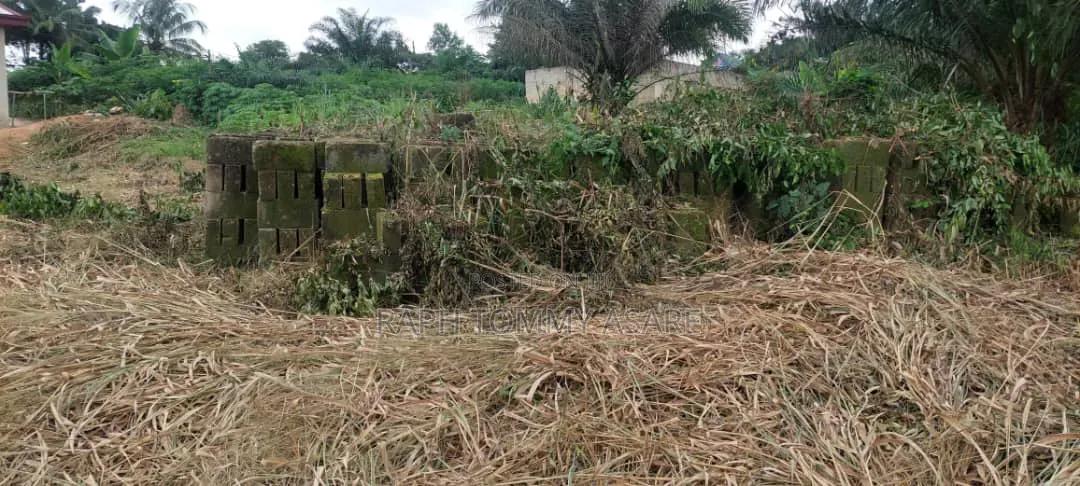 Plot of Land With 1700 Blocks and 2 and Half Trips of Sand for Sale - Land in Ashanti, Kwabre - Sale