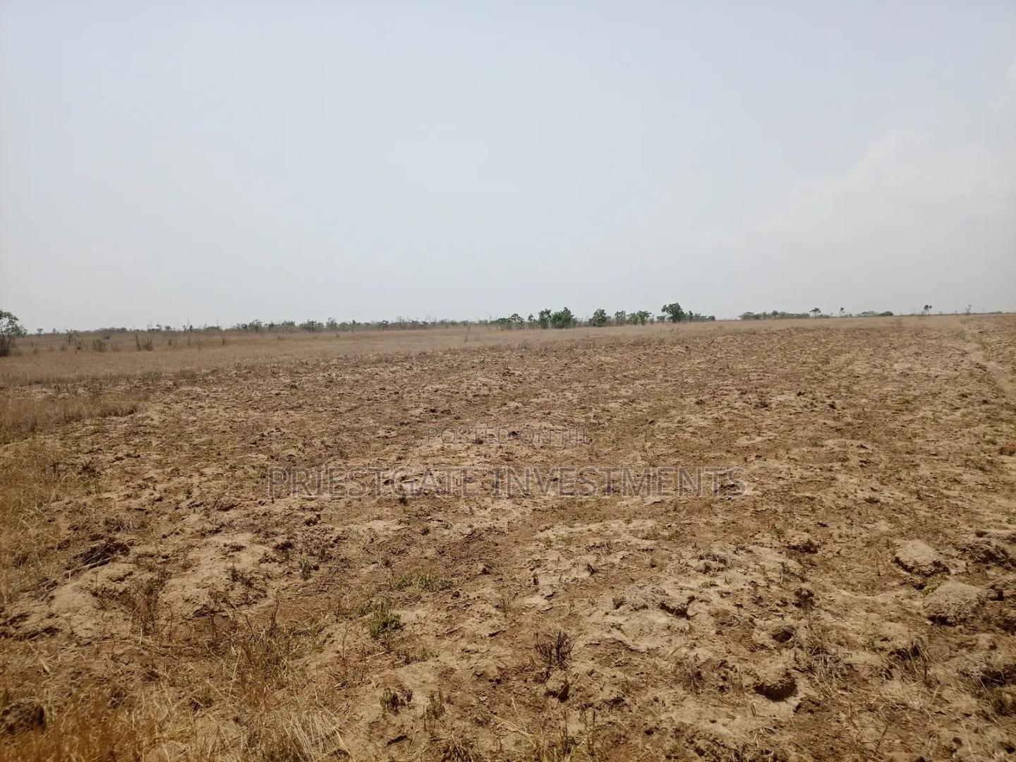 Invest in Your Future – Prime Land at Tsopoli - Land in Greater Accra, Ningo-Prampram, Dawhenya - Sale