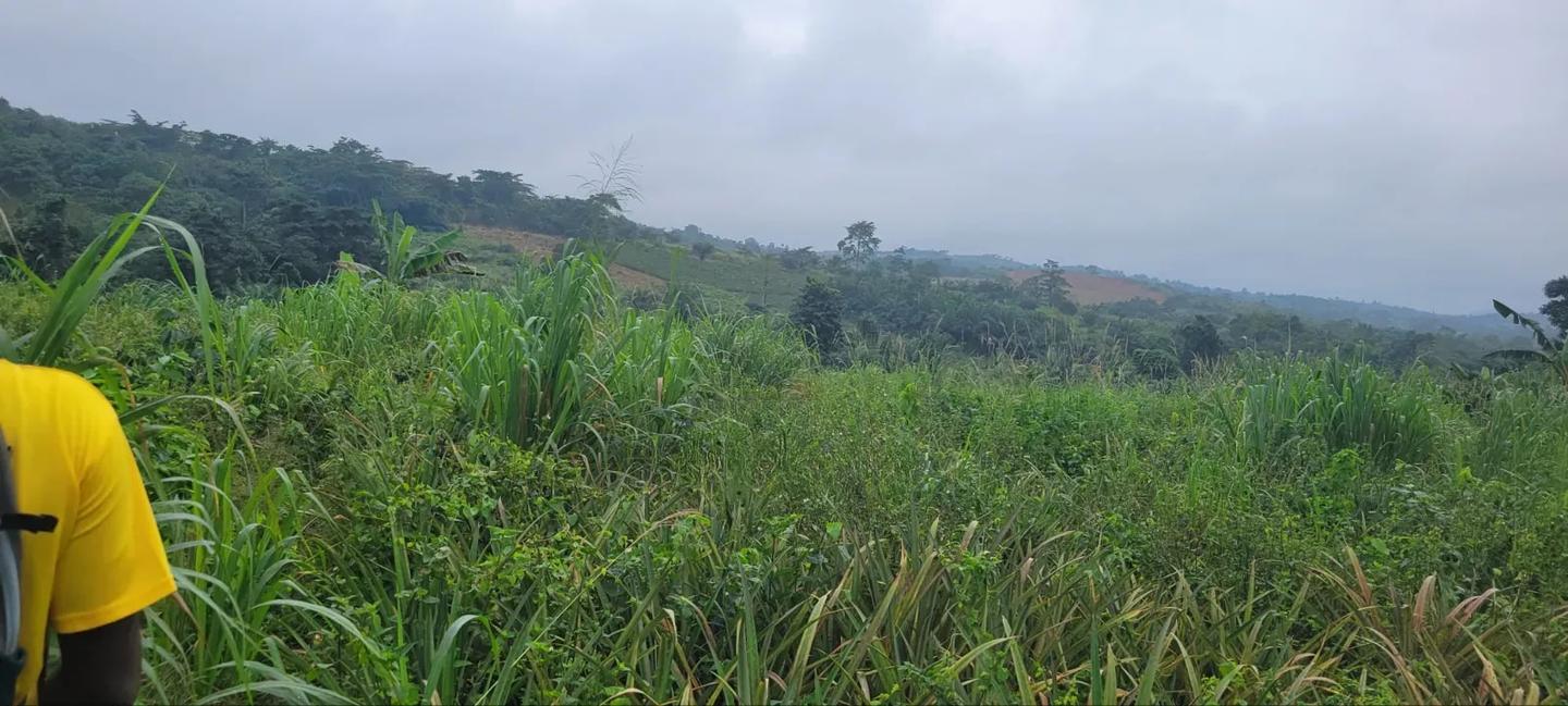 Farm Land at Aburi - Land in Eastern Region, Akuapim South, Aburi - Sale