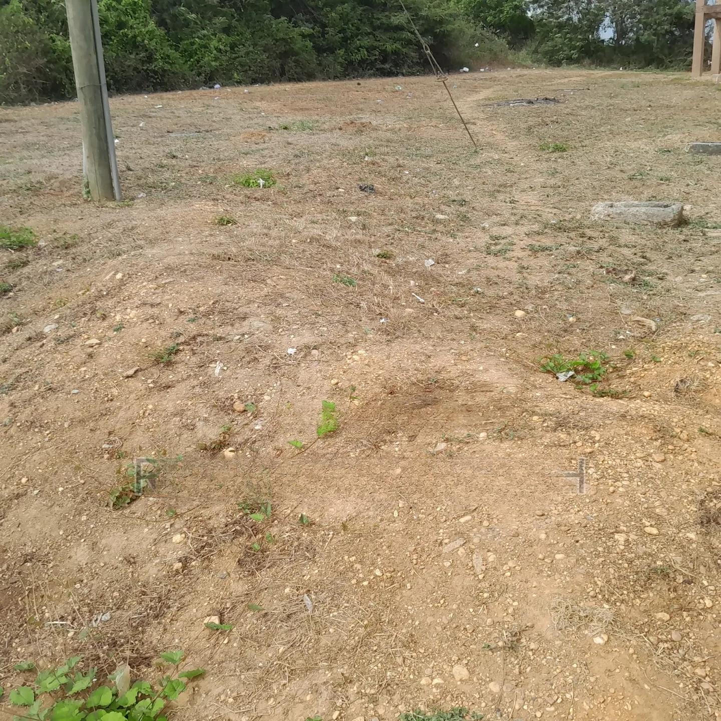 Half Plot for Sale at Nkroful _Katen Junction - Land in Western Region, Takoradi - Sale