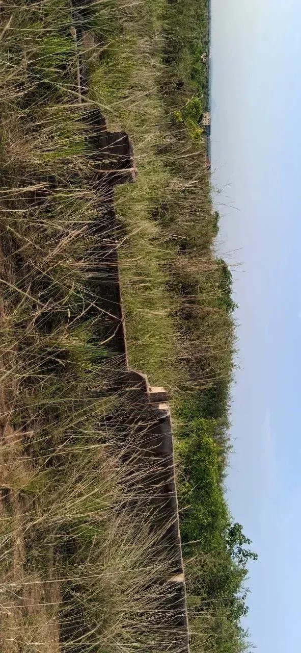 Free Demarcated Half Plot - Prampram - Land in Greater Accra, Ningo-Prampram, Prampram - Sale