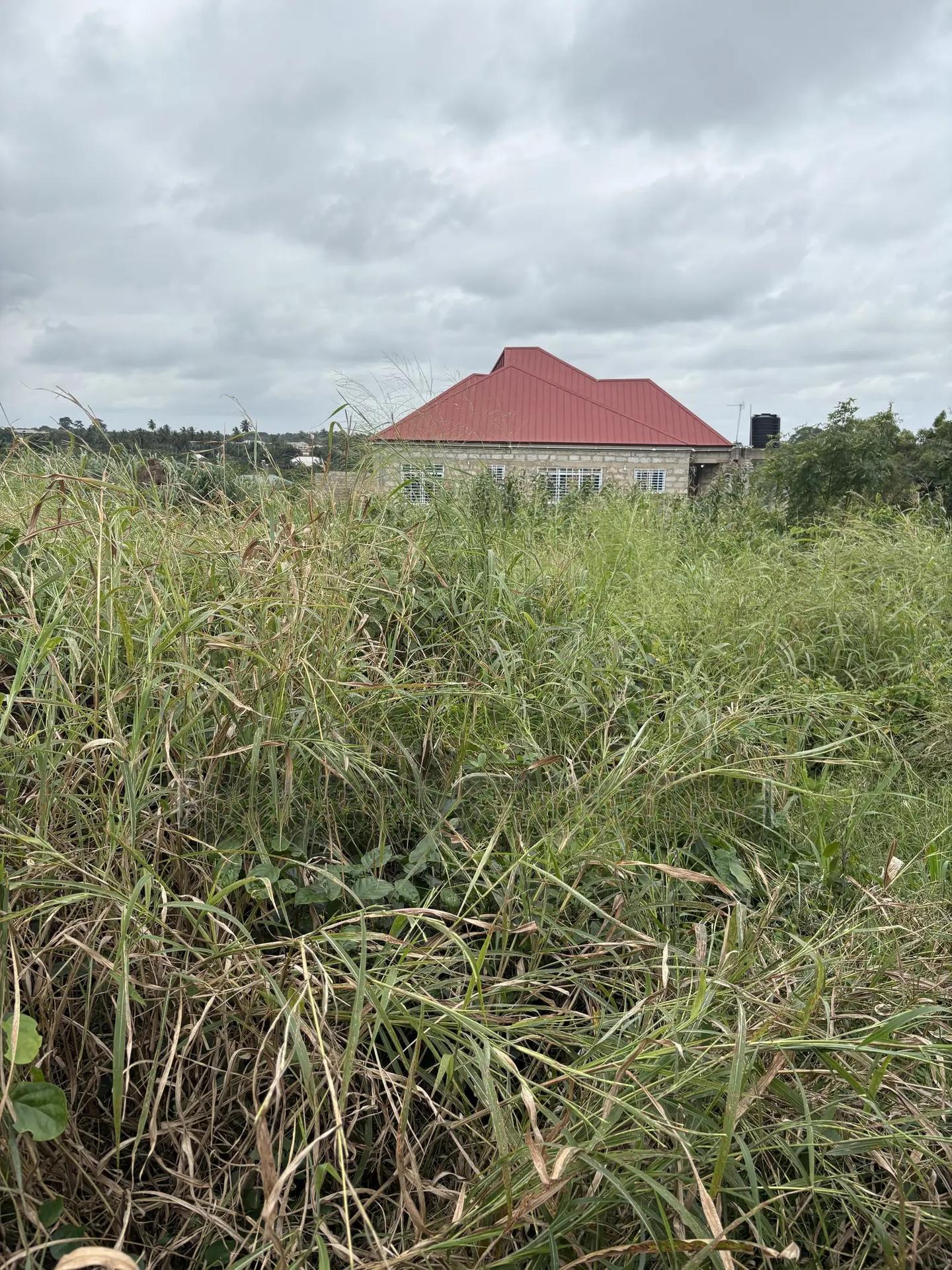 Residential and Farmland - Land in Central Region, Agona East - Sale