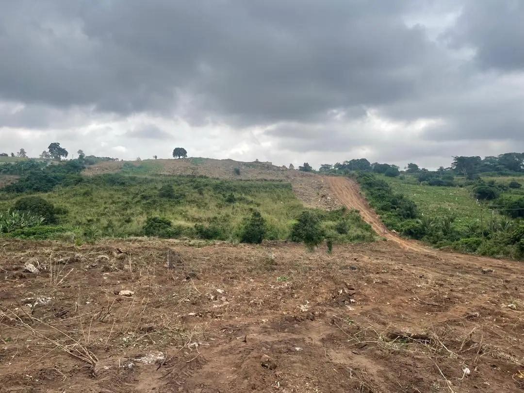 Lands for Sale - Land in Eastern Region, Akuapim South, Aburi - Sale