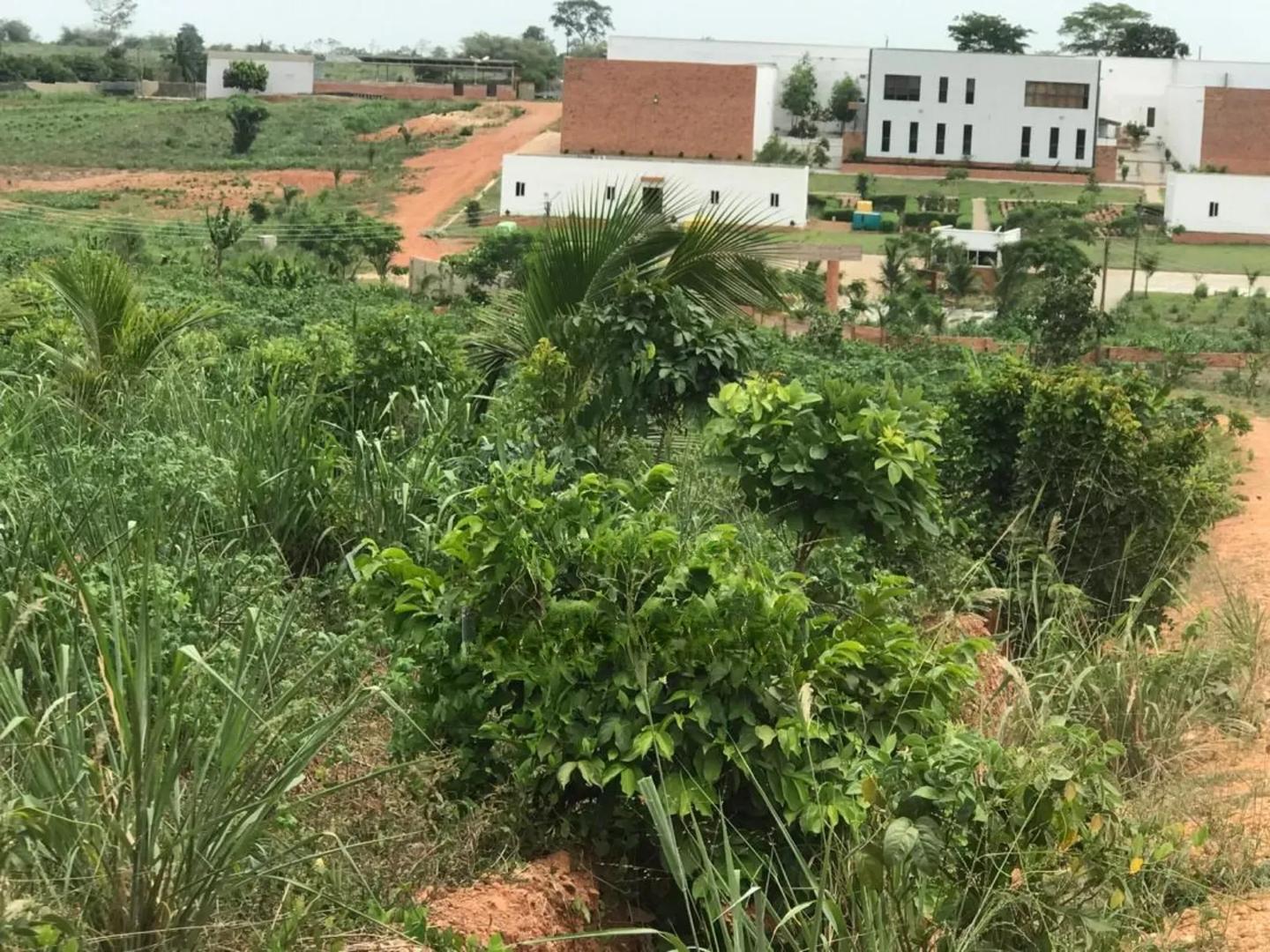 Serviced Plots Near Akotsi Junction – Only GHS (Flexible Payment ) - Land in Central Region, Gomoa East - Sale