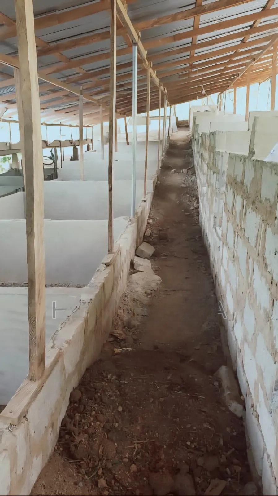 Farm Land With Pigs - Land in Ashanti, Amansie West - Sale