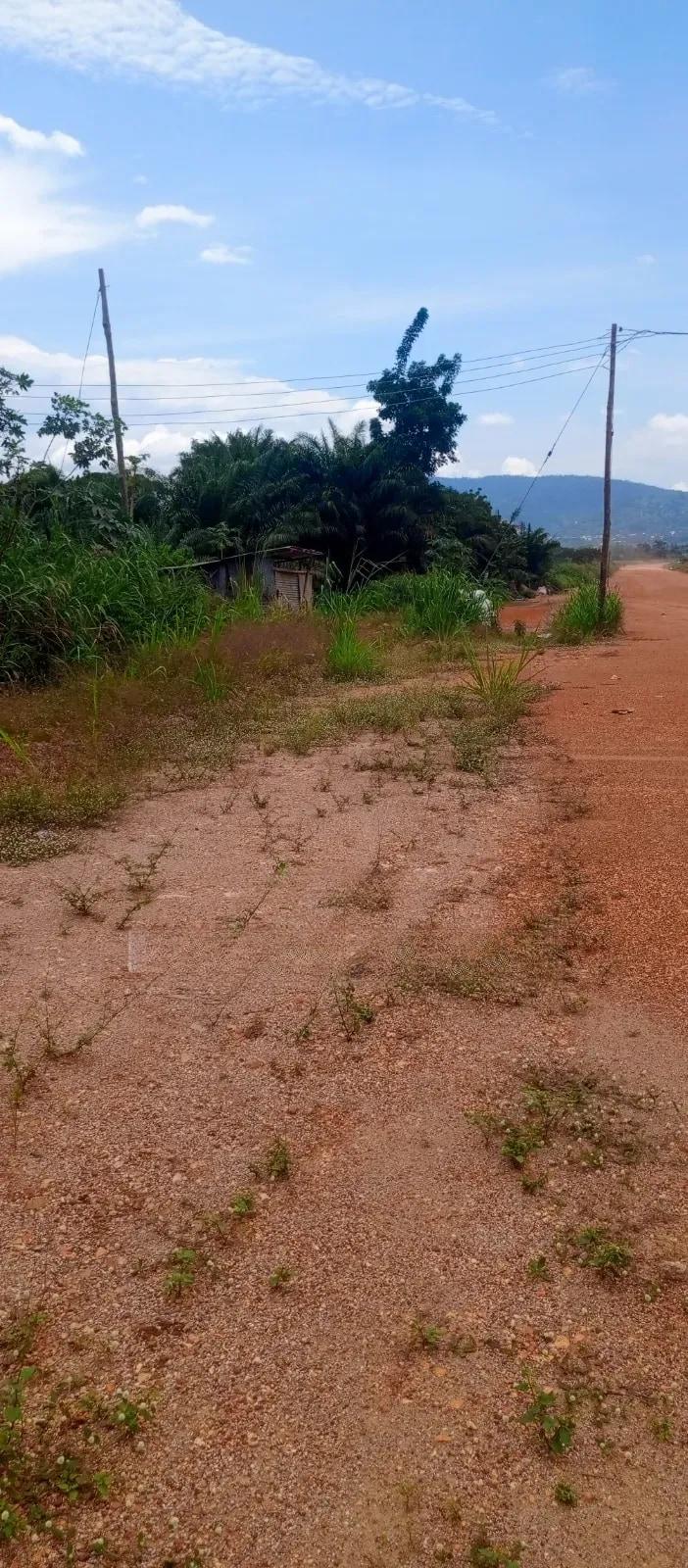 Land for Sale at Sokode Ando - Land in Volta Region, Ho Municipal - Sale