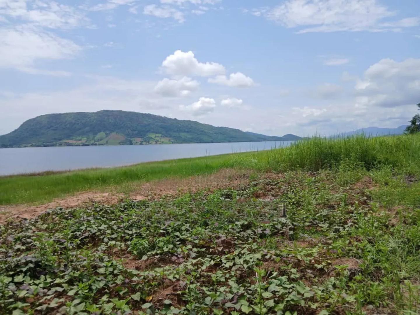 10 Acres of Land Close to Volta River for Sale - Land in Volta Region, North Tongu - Sale