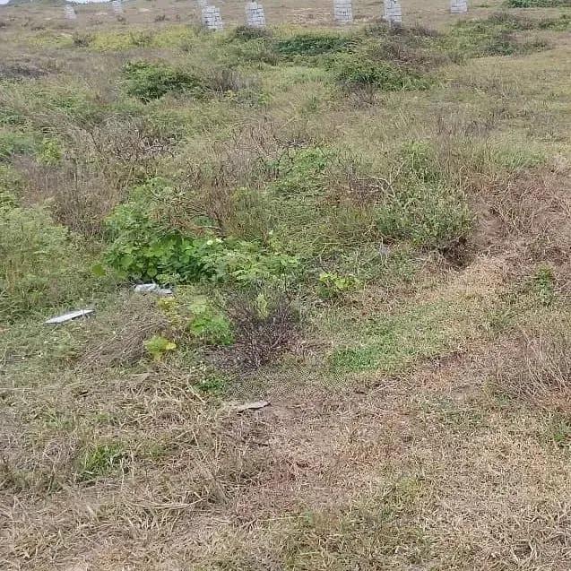 Safe Plot of Land - Land in Central Region, Awutu Senya West - Sale