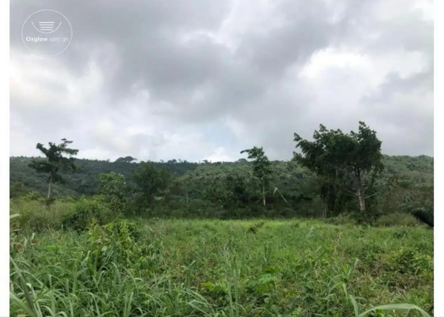 12,000 Acres Of Farmland For Sale At Asamankese. - Land in Eastern Region, East Akim Municipal - Sale
