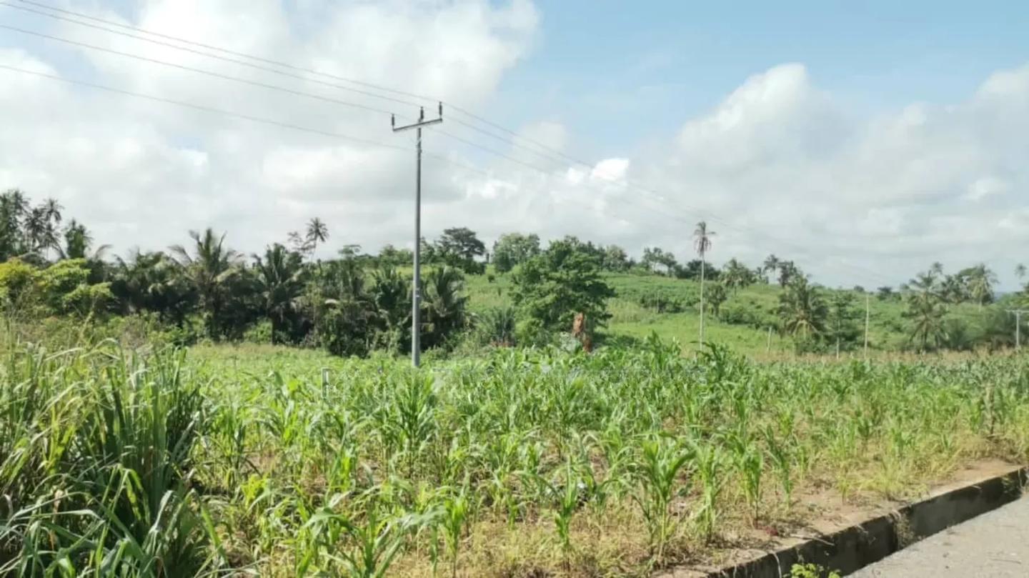 600 Acres of Roadside Land for Sale at Adeiso Bawjiase Road - Land in Eastern Region, West Akim Municipal - Sale
