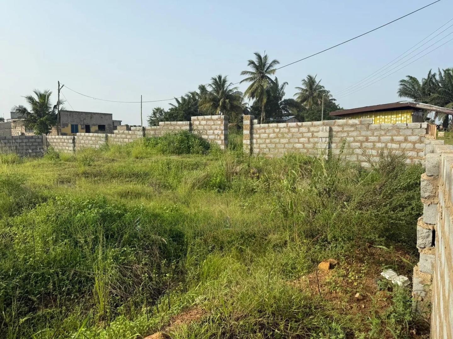 80x80 Land by Road Side - Land in Eastern Region, Nsawam Adoagyiri Municipal - Sale