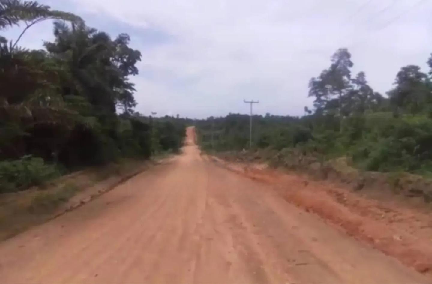 25,000 Acres Of Registered Farmland For Sale At Asamankese. - Land in Eastern Region, East Akim Municipal - Sale