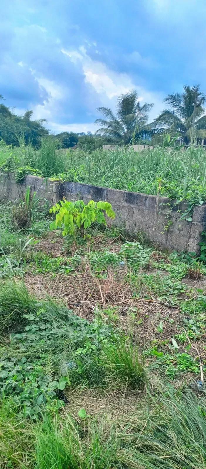 Land for Sale at UHAS Roundabout Off to the Main Campus - Land in Volta Region, Ho Municipal - Sale