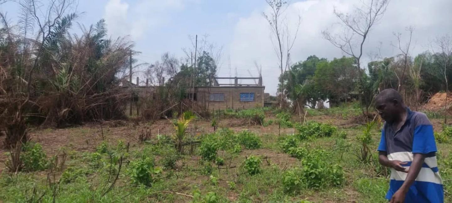 2 Plots of Land Located Behind Uncompleted SHS School - Land in Ashanti, Kwabre - Sale