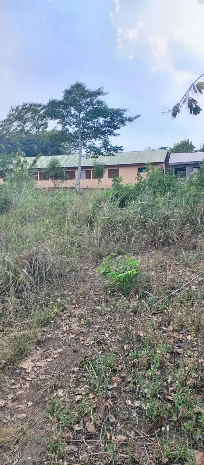 Two Plots of Registered Land for Sale - Land in Volta Region, Ho Municipal - Sale