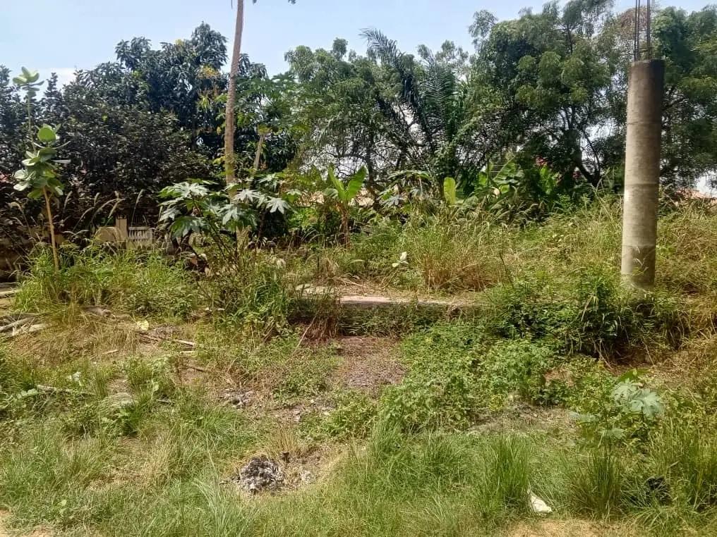 Half Plot of Land for Sale at Pokuase Canada - Land in Greater Accra, Pokuase - Sale