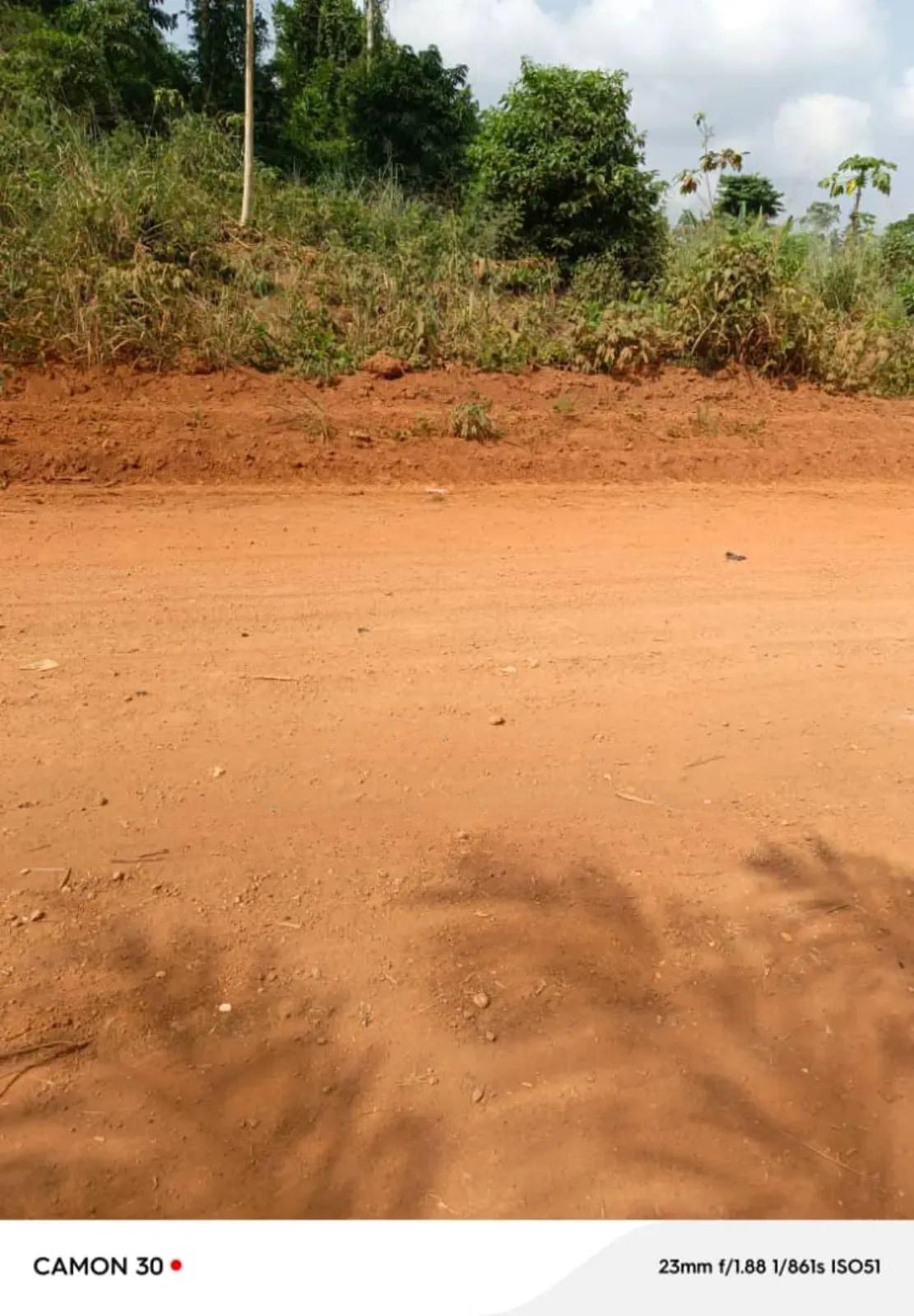 Registered Farmland For Sale At Asamankese. - Land in Eastern Region, East Akim Municipal - Sale
