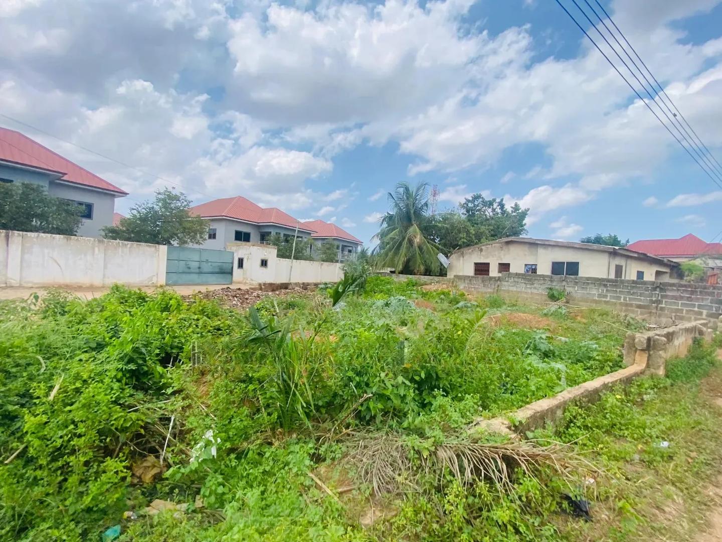 60/80 Land for Sale at Ashongman Estate - Land in Greater Accra, Ashomang Estate, Ashomang Estate Police Station - Sale