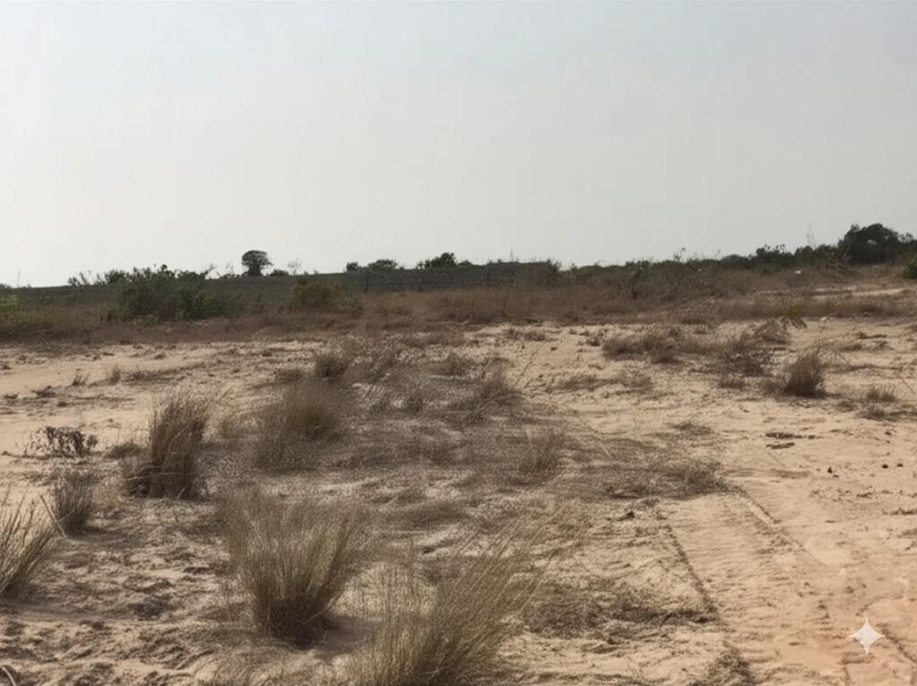 Titled Residential Lands for Sale - 1 bedroom Land in Greater Accra, Ningo-Prampram - Sale