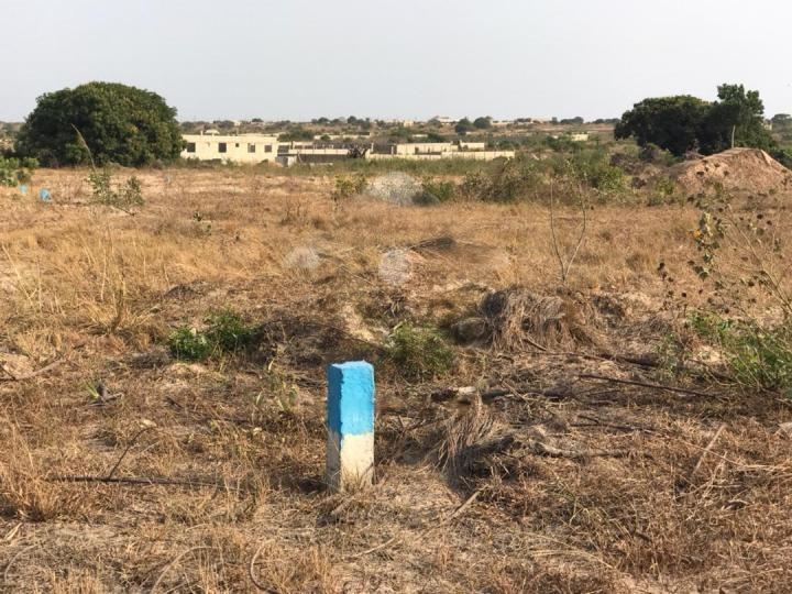 Residential serviced land for sale at Ningo Prampram - 1 bedroom Land in Greater Accra, Ningo-Prampram - Sale