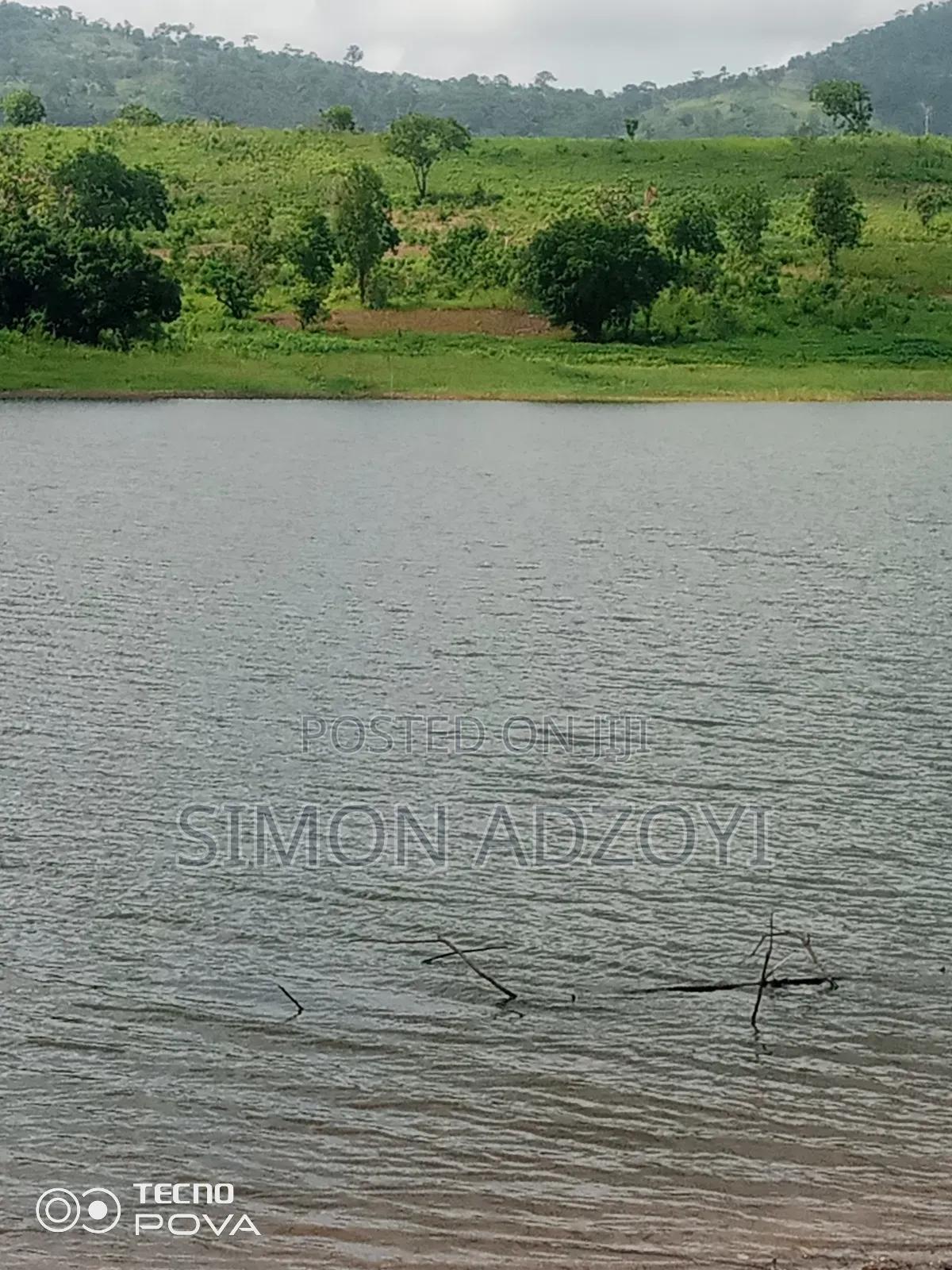 20 Acres of Farm Land for Sale - Land in Volta Region, Ho West - Sale